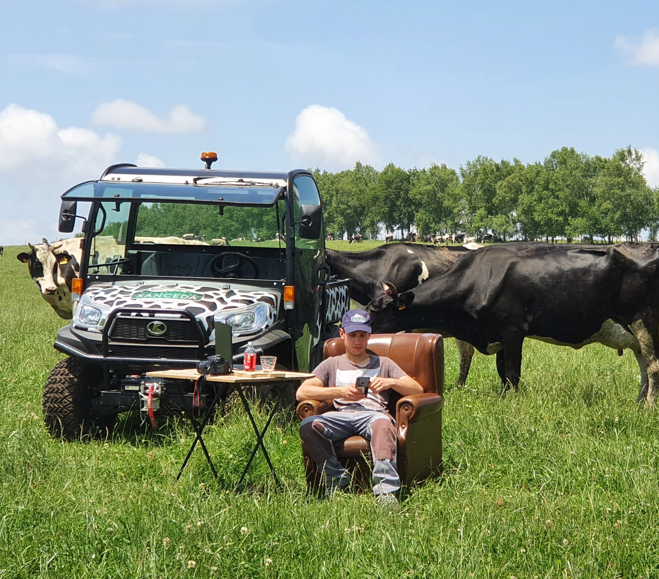 ¡Buscamos Tiktoker de vacas! 